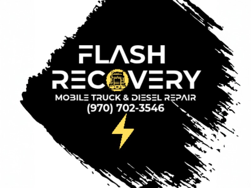 Flash Recovery