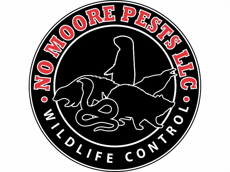 No Moore Pests LLC