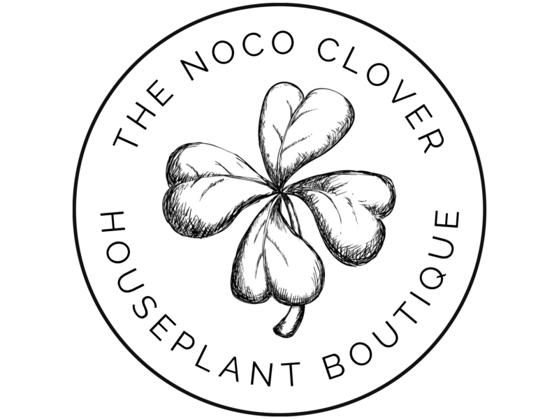 The NoCo Clover