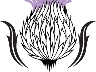Thistle
