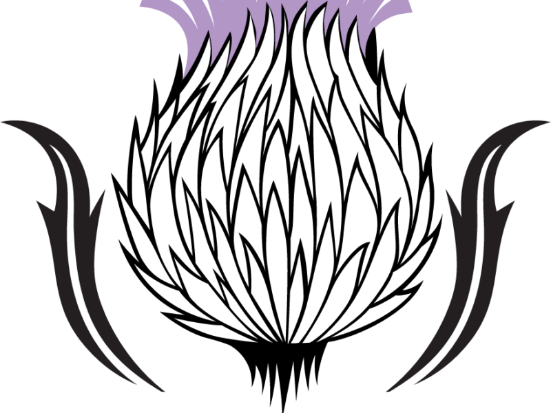 Thistle
